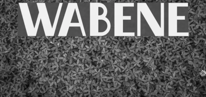 Wabene Font examples