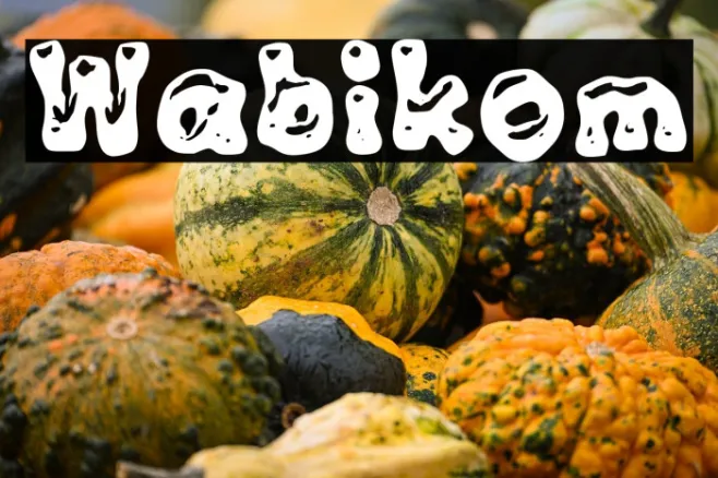 Wabikom Example 1
