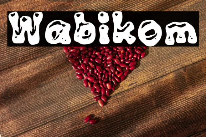 Wabikom Example 2