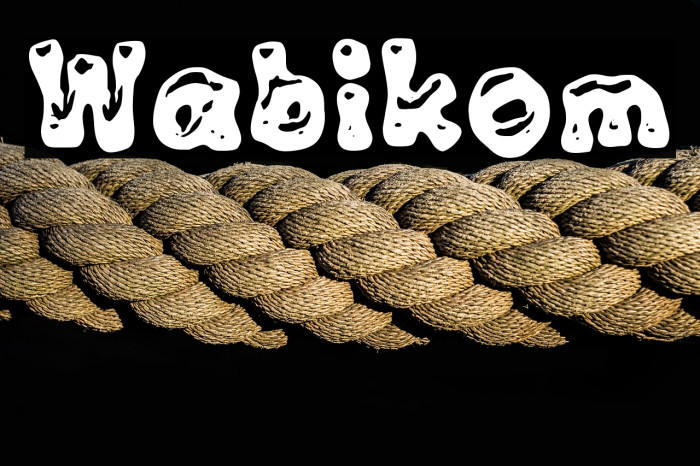 Wabikom Example 3