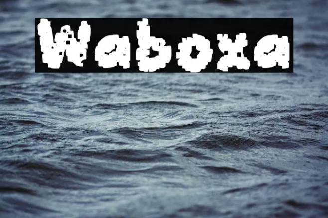 Waboxa Example 1