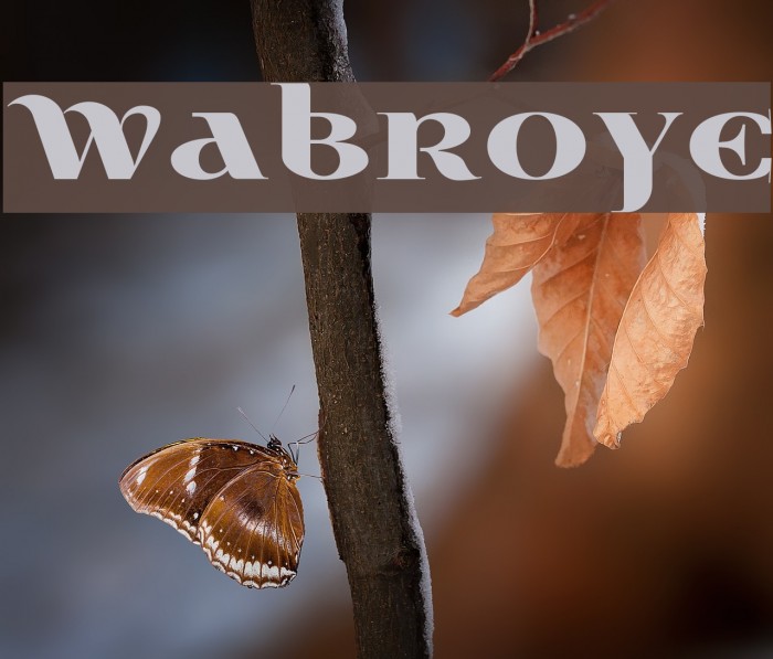 Wabroye Font examples