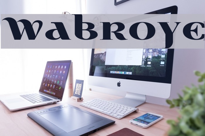 Wabroye Font examples