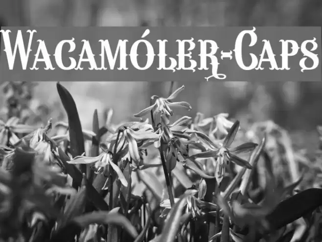 Wacamóler-Caps Шрифта examples