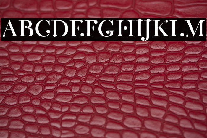 Wachinanga Example 1