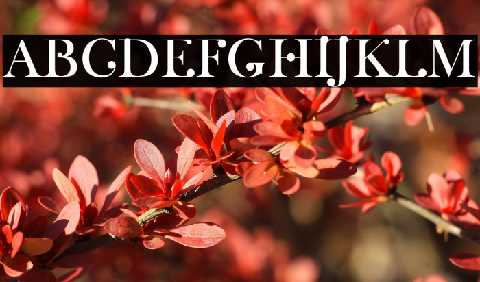 Wachinanga Example 3