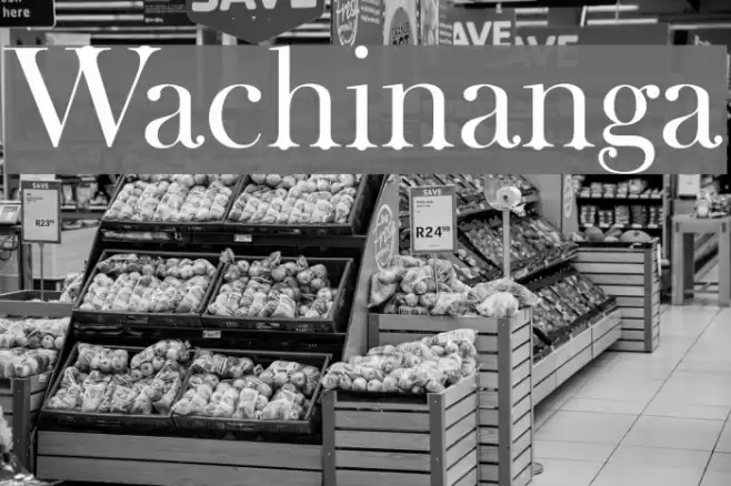 Wachinanga フォント examples