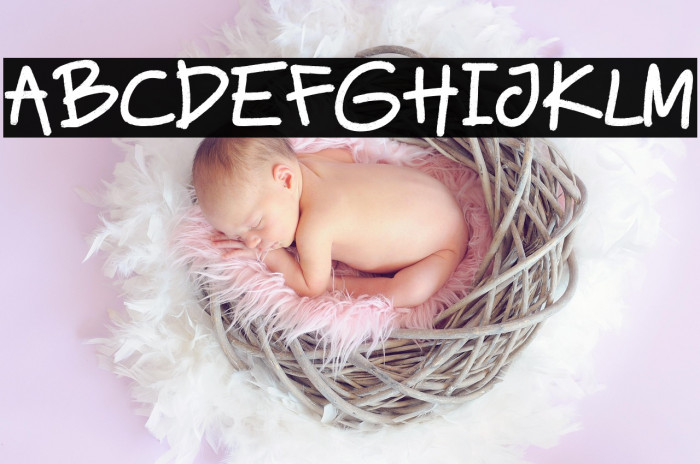 Wacko Guido Demo Example 3