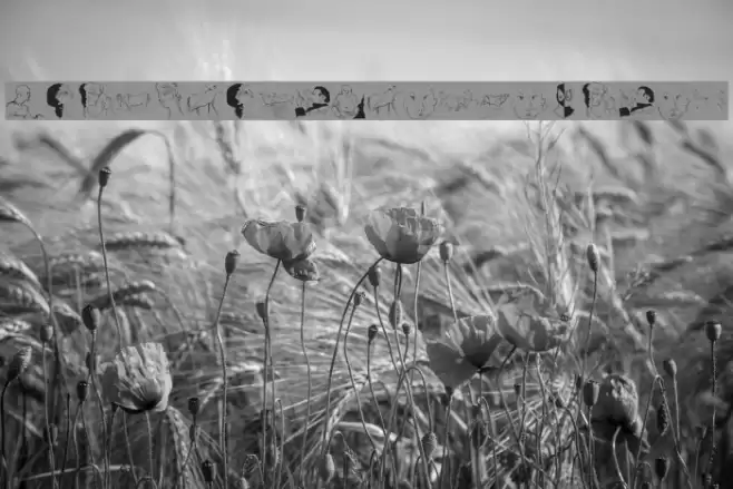 WacoGraphireSketches Font examples