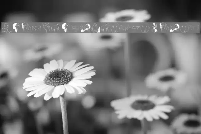 WacoGraphireSketches Font examples