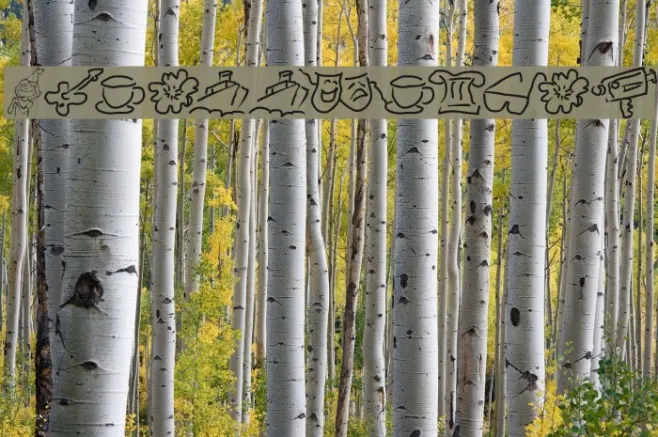 Wacollection Example 2