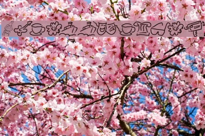 Wacollection Example 3