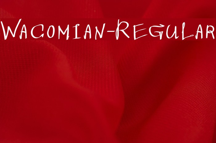 Wacomian-Regular Font examples