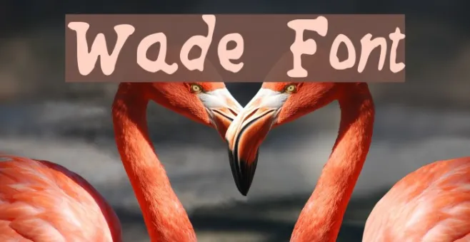 Wade Example 1