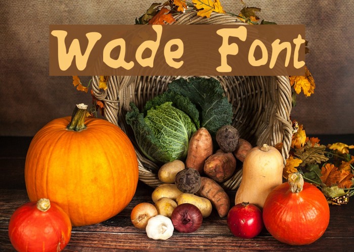 Wade Font examples