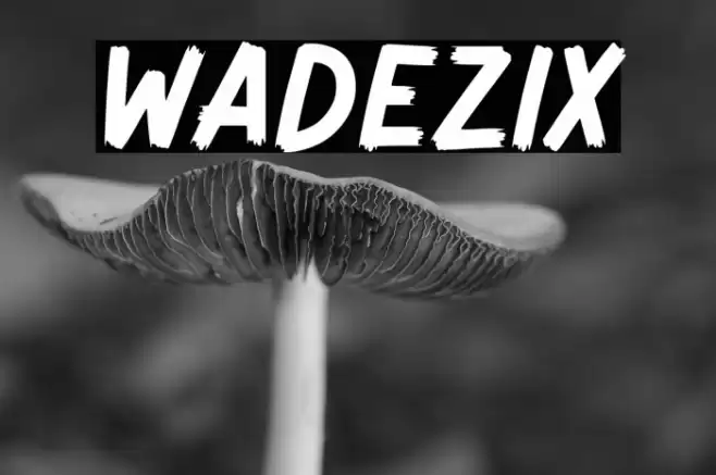 Wadezix Fonte examples