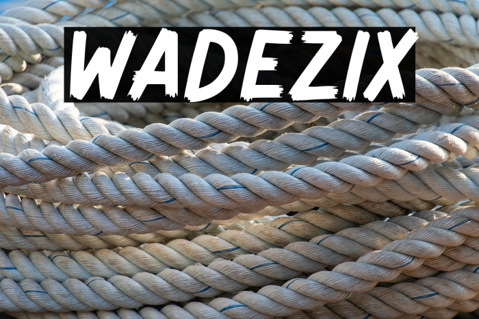 Wadezix Example 3