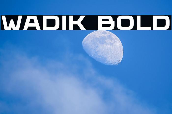 Wadik Bold Example 1