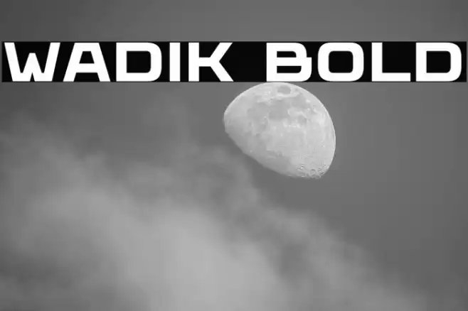 Wadik Bold Font examples