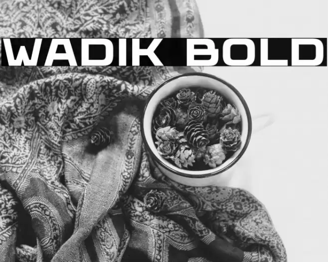 Wadik Bold Font examples