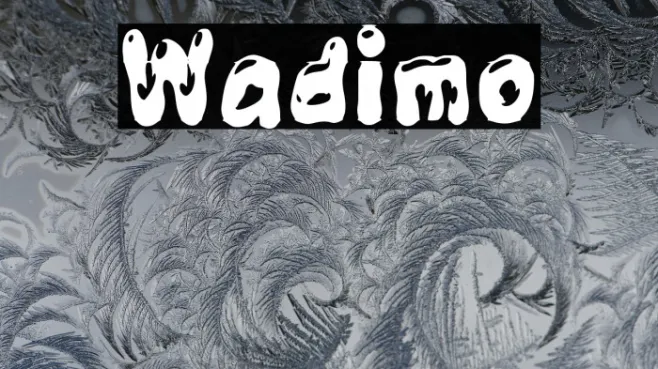 Wadimo Example 1
