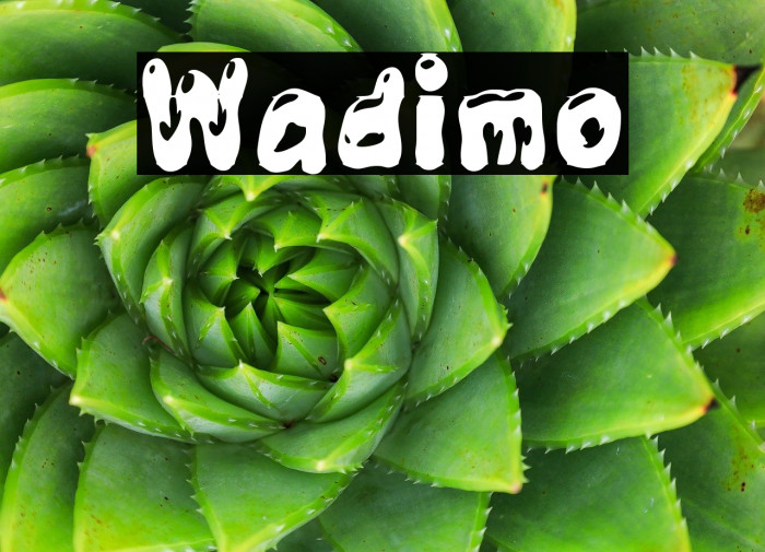 Wadimo Example 2