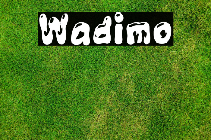 Wadimo Example 3