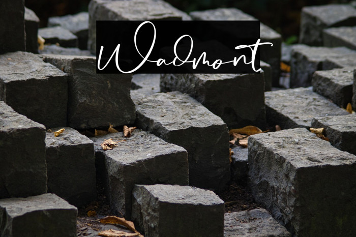 Wadmont Font examples
