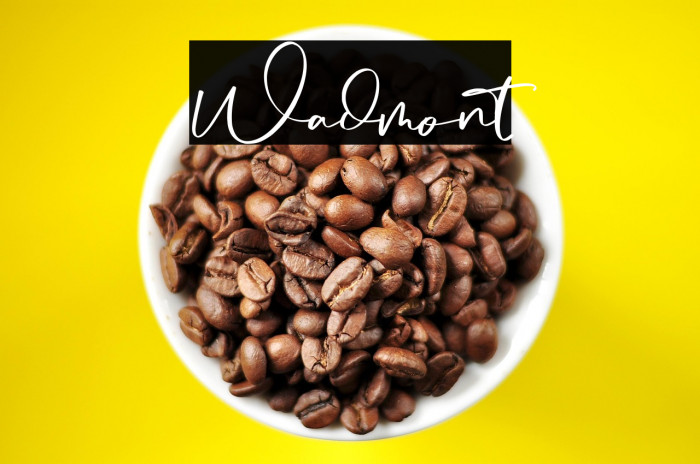Wadmont Font examples