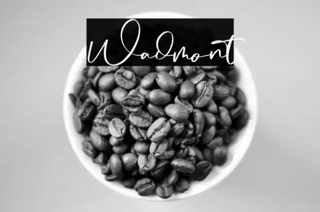 Wadmont Font examples