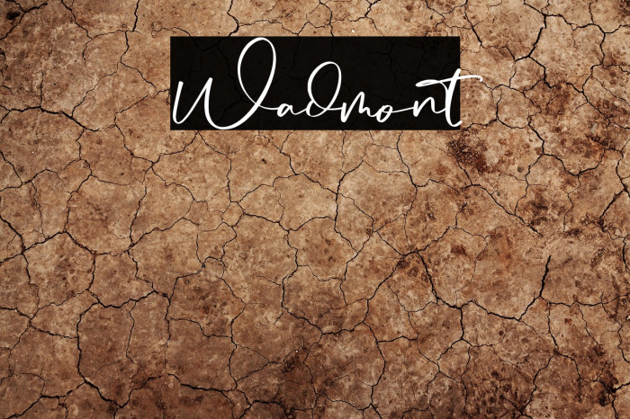 Wadmont Font examples