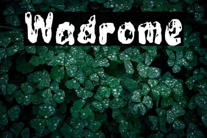 Wadrome Example 2