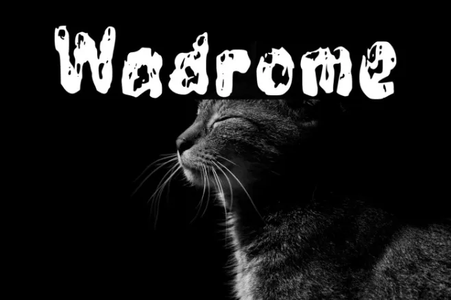 Wadrome Example 3
