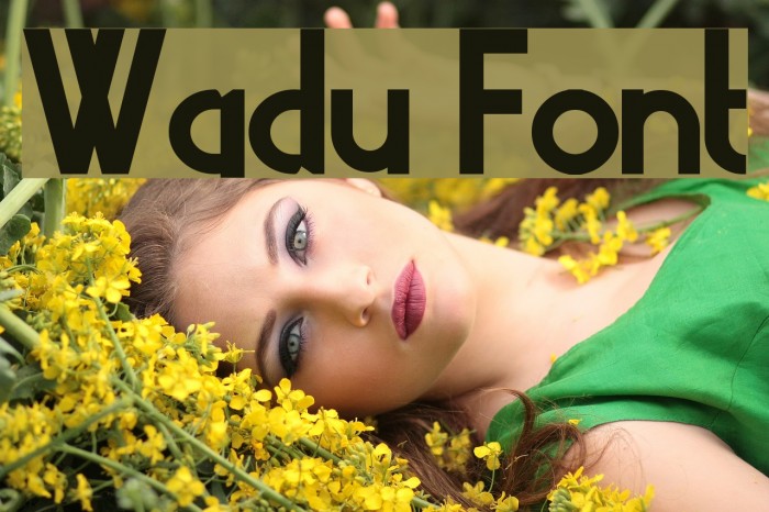 Wadu Font examples