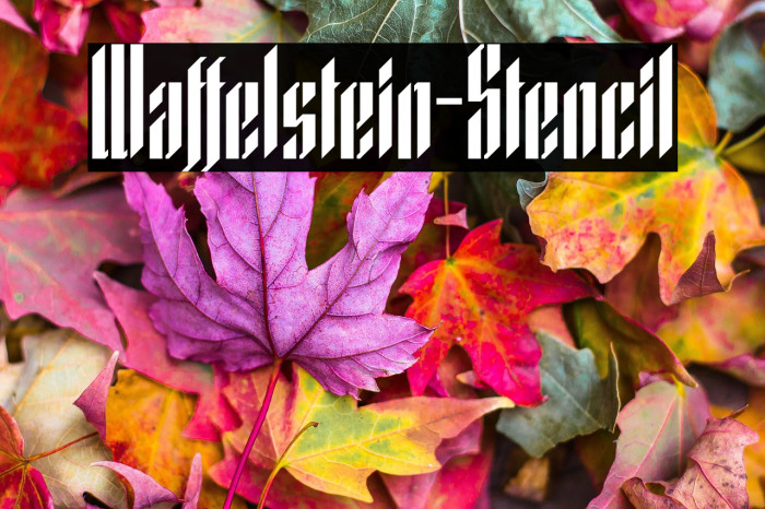 Waffelstein-Stencil Example 3