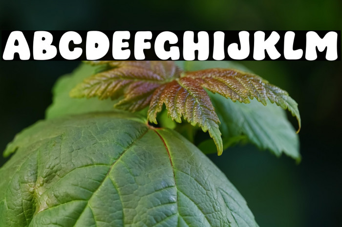 Waffle Cake Example 3