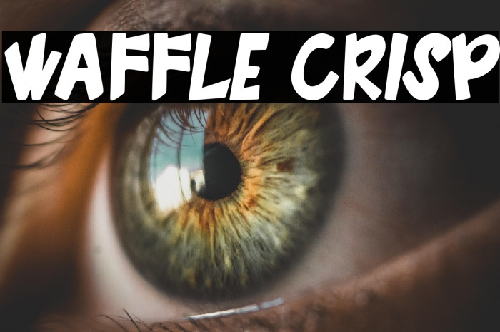 Waffle Crisp Example 3