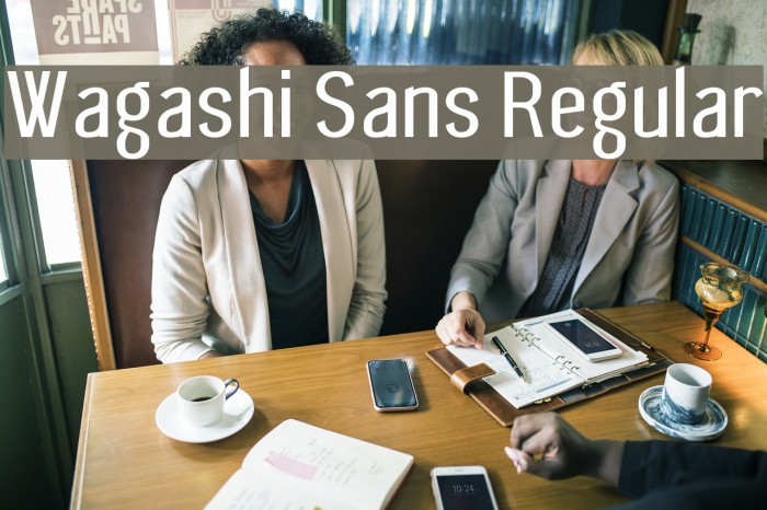 Wagashi Sans Regular Fonte examples
