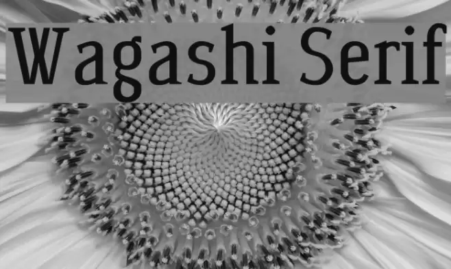 Wagashi Serif Polices examples