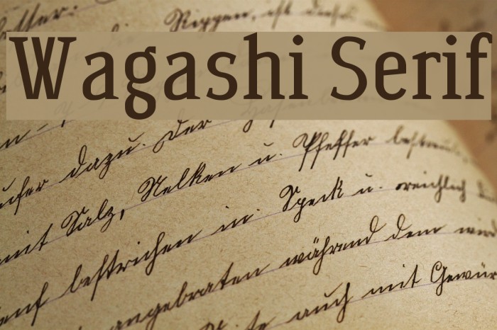 Wagashi Serif Font examples