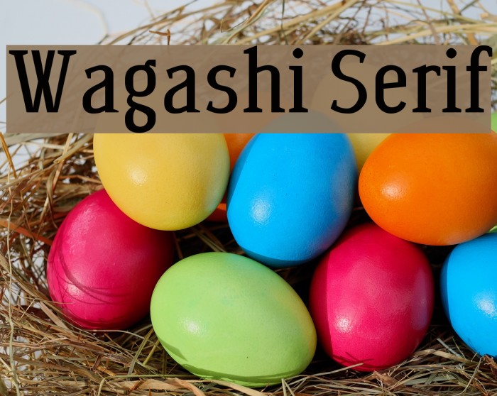 Wagashi Serif Font examples