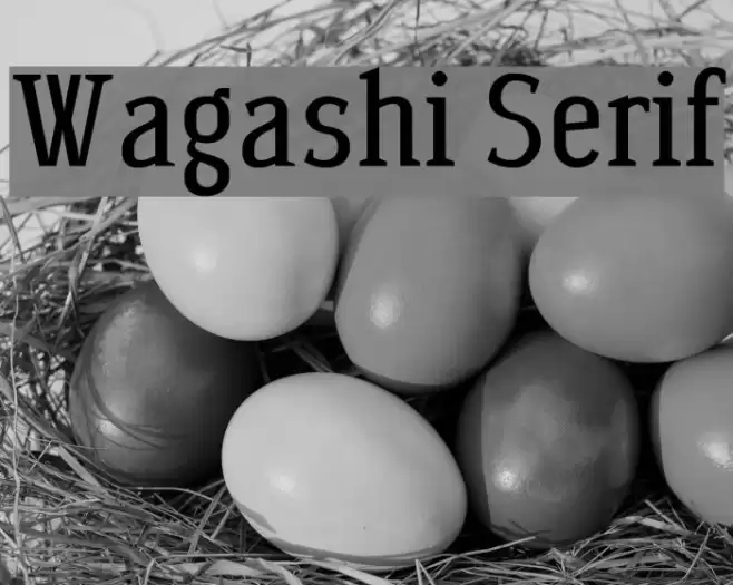 Wagashi Serif Polices examples