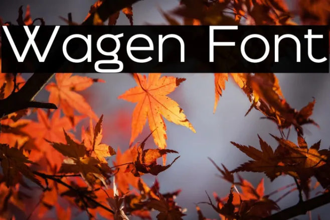 Wagen Example 2