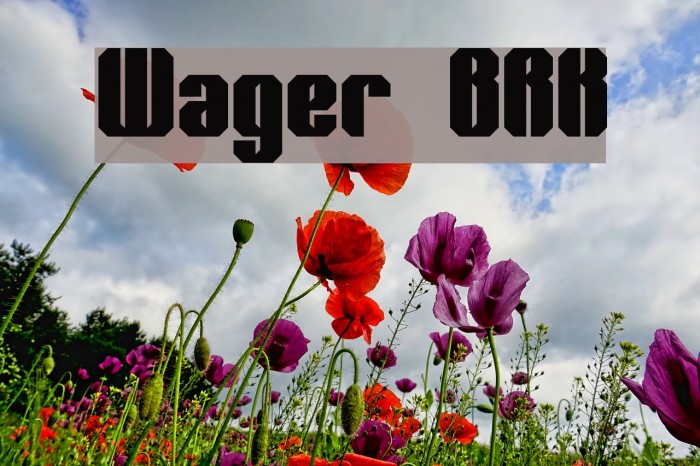 Wager BRK Font examples