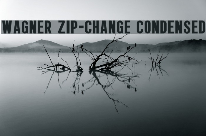 Wagner Zip-Change Condensed Font examples