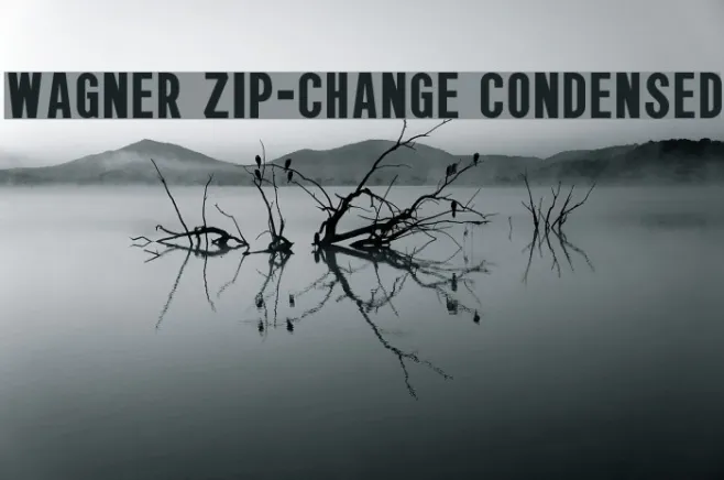 Wagner Zip-Change Condensed Example 2
