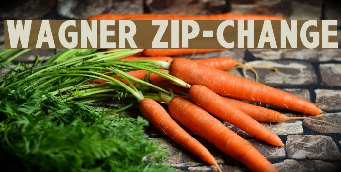 Wagner Zip-Change Font examples