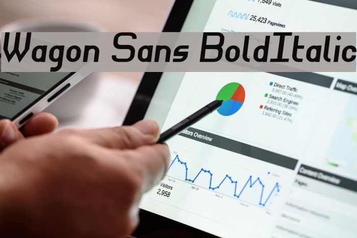Wagon Sans BoldItalic Font examples