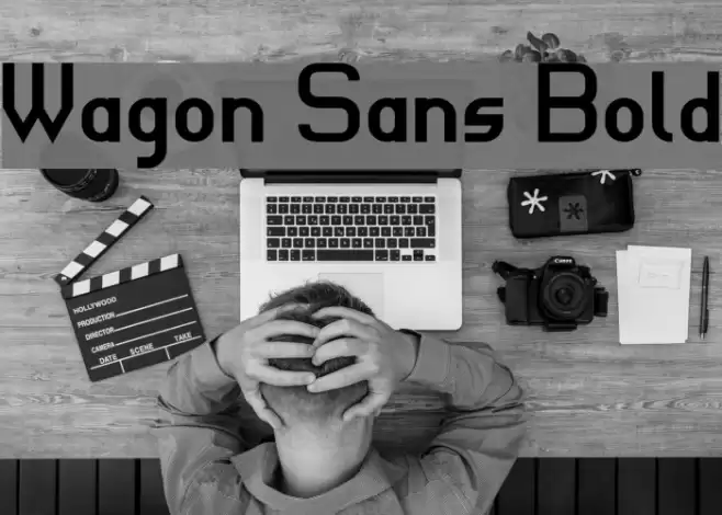 Wagon Sans Bold Font examples