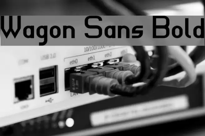 Wagon Sans Bold Font examples